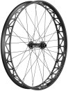 DTSwiss Laufrad BR 2250 Classic 26&quot; 197/12mm CL